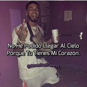 Meet your Posher, Alexander